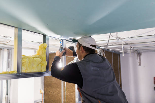 Best Insulation Removal  in Homeland, GA