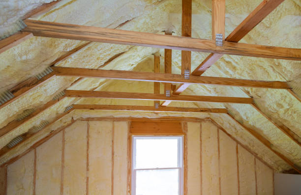 Best Insulation Contractor Near Me  in Homeland, GA