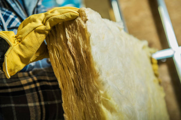 Best Home Insulation Services  in Homeland, GA