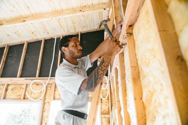 Best Insulation Contractor Near Me  in Homeland, GA