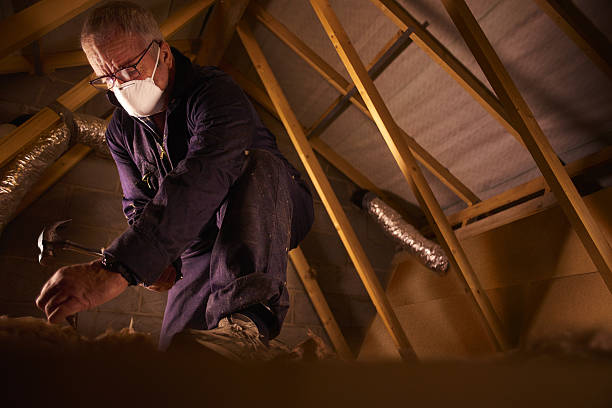 Best Commercial Insulation Contractor  in Homeland, GA